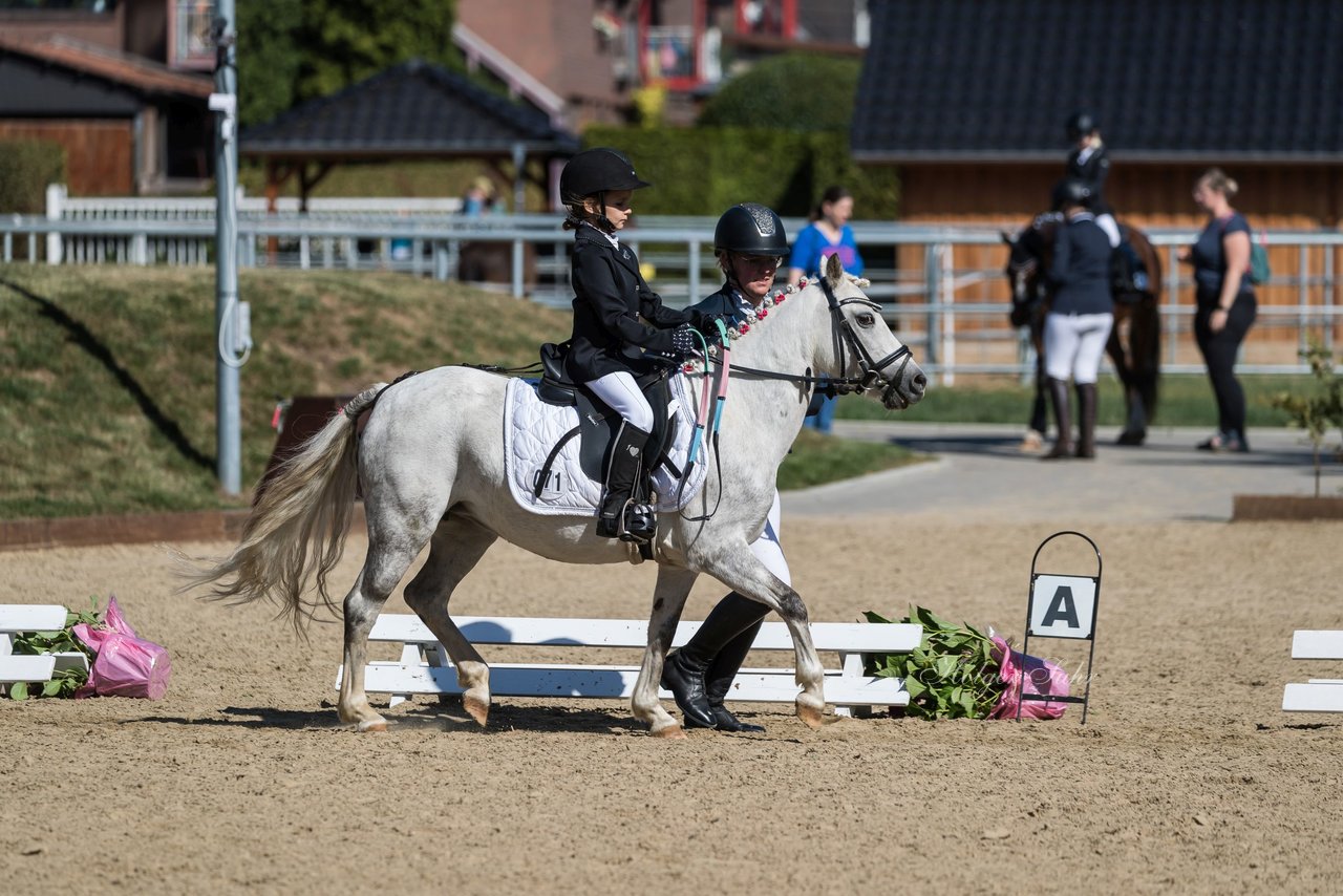 Bild 100 - Pony Akademie Turnier